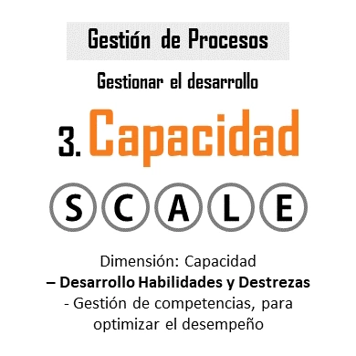 Dimensión Capacidad - con su pilar las Habilidades, mostrando 
                  la gestión de las habilidades, destrezas y competencias que 
                  el estudiante desarrolla para enfrentar desafíos educativos